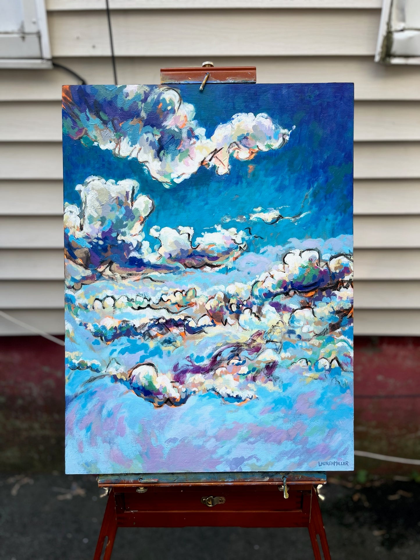 “Freedom in the Clouds” Original Painting