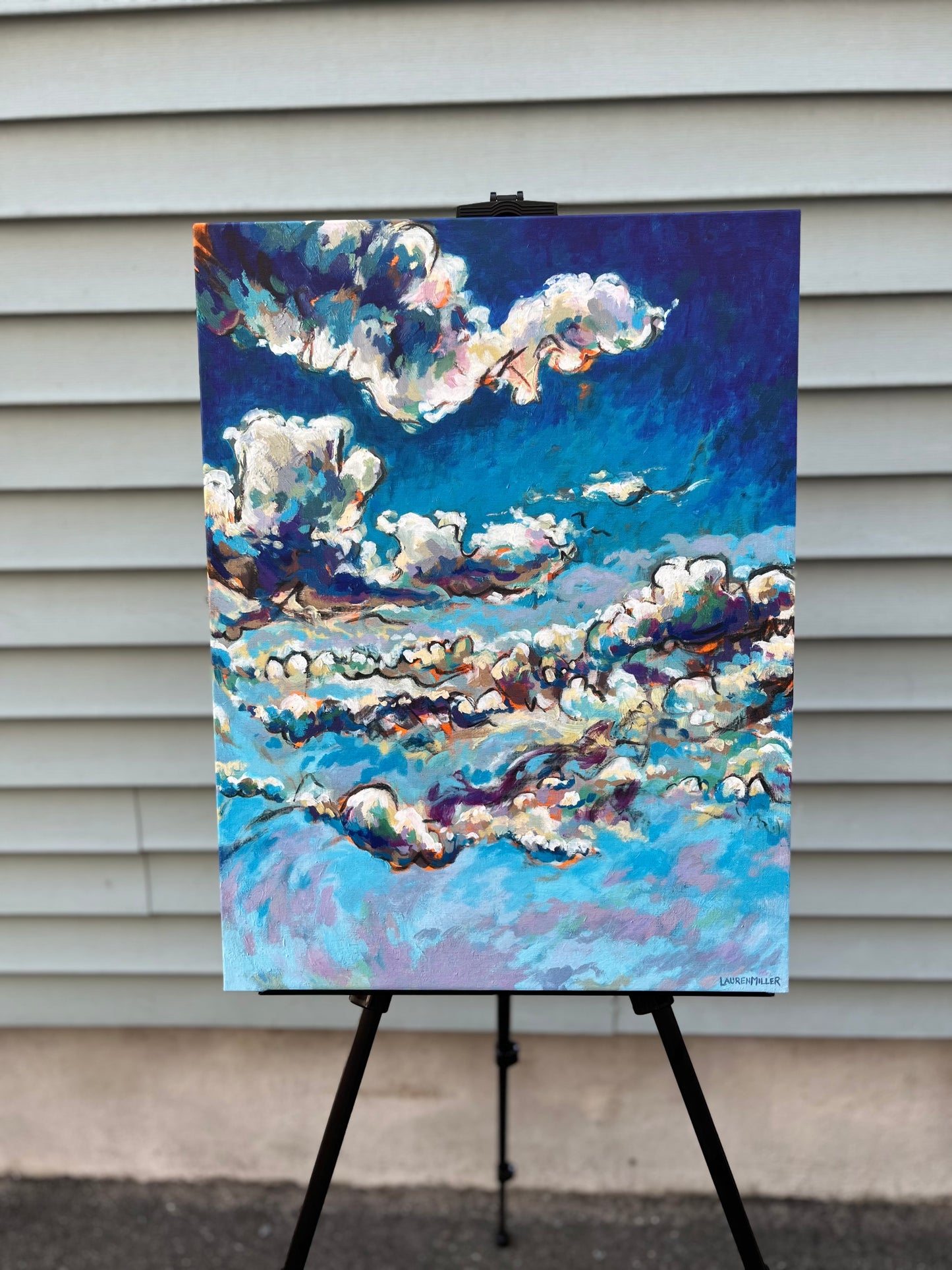 “Freedom in the Clouds” Print